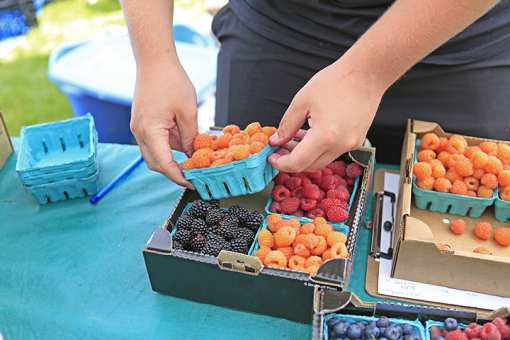 7 Best Farmers Markets in Utah!