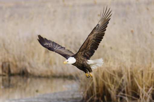 8 Best Nature Centers in Utah!