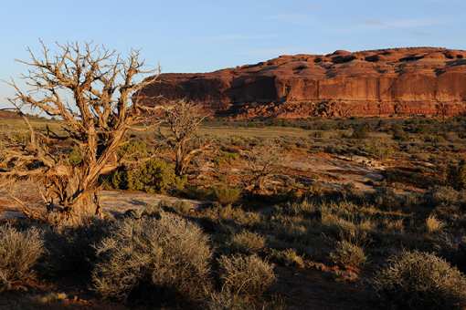 10 Best State Parks in Utah